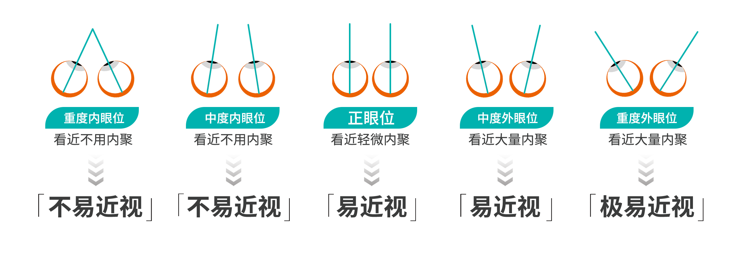 1652176798753159.png 眼位.png
